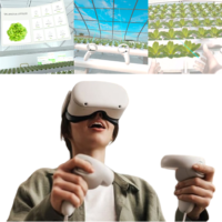 VR